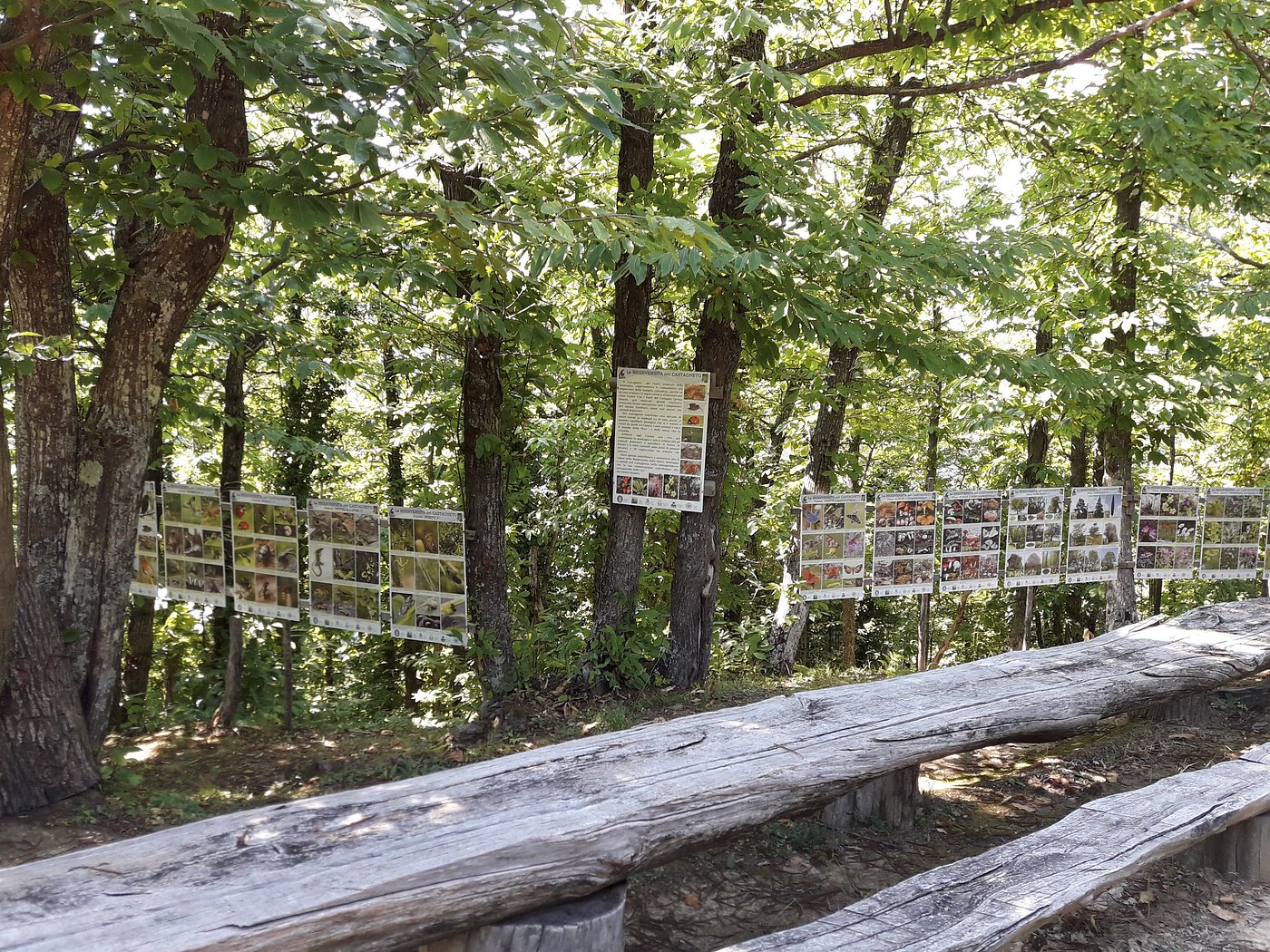 COPERTINA_SentieroNelCastagneto_03