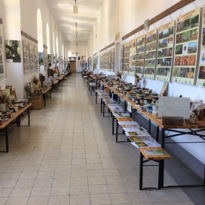 COPERTINA_MuseoDelMarrone_01